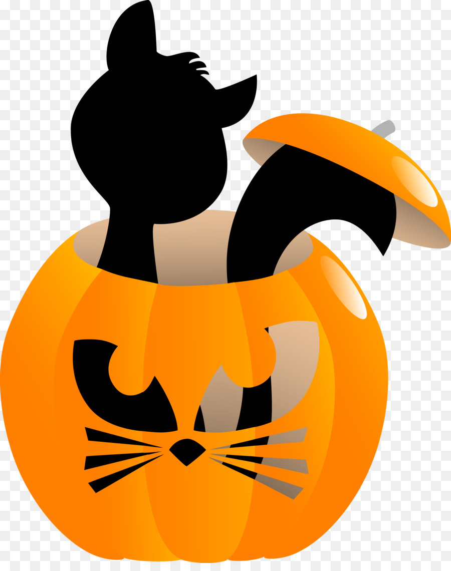 Gato En Calabaza，Gato Negro PNG