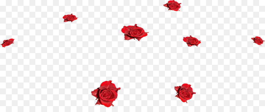 Rosas Rojas，Flores PNG