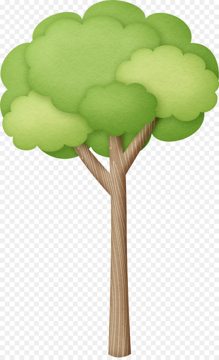 Brasil，árbol PNG