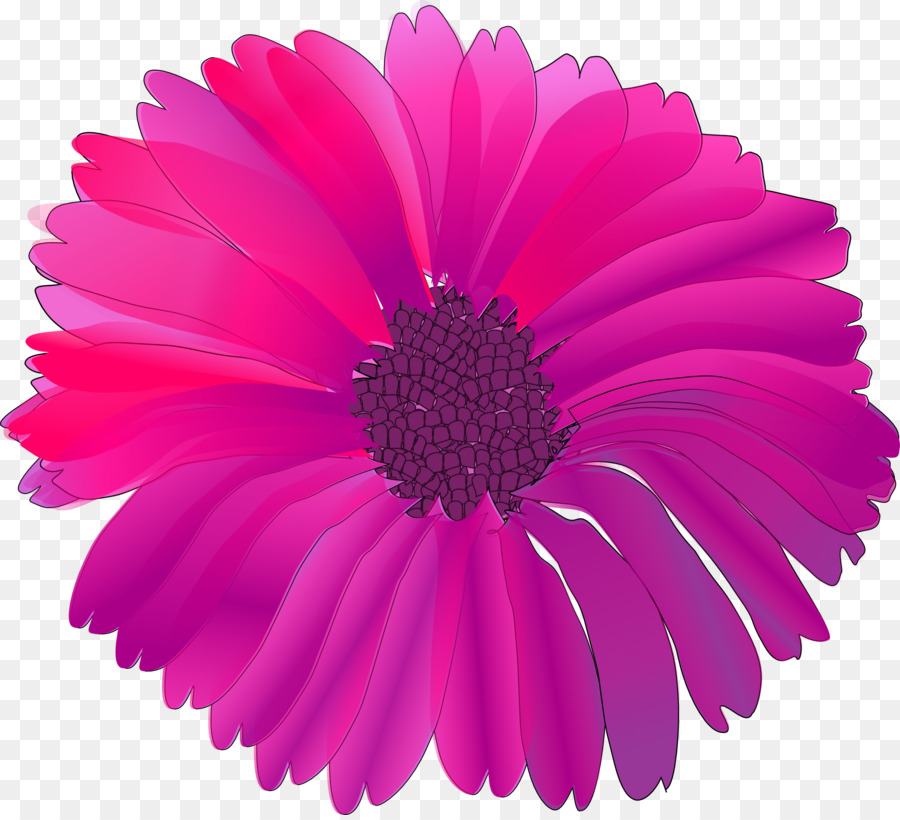 Flores De Color Rosa，Flor PNG