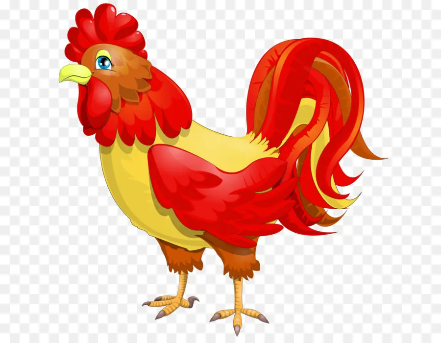 Pollo，Pintura A La Acuarela PNG