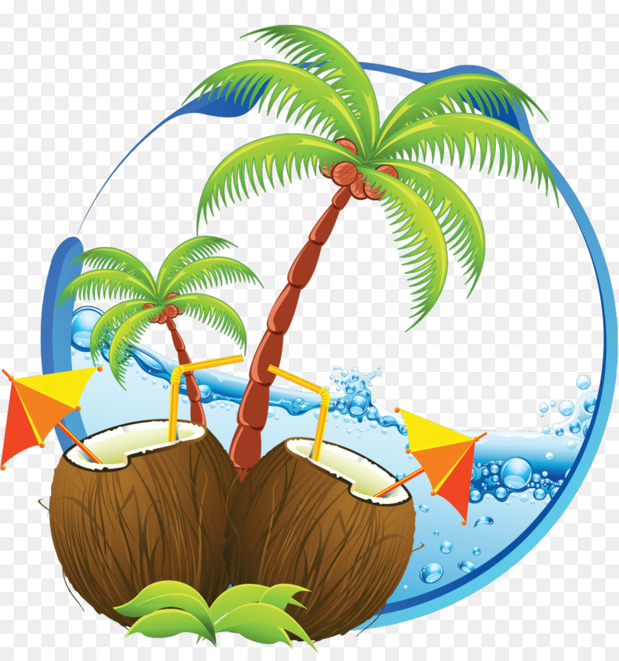 Zona Tropical，Dibujo PNG