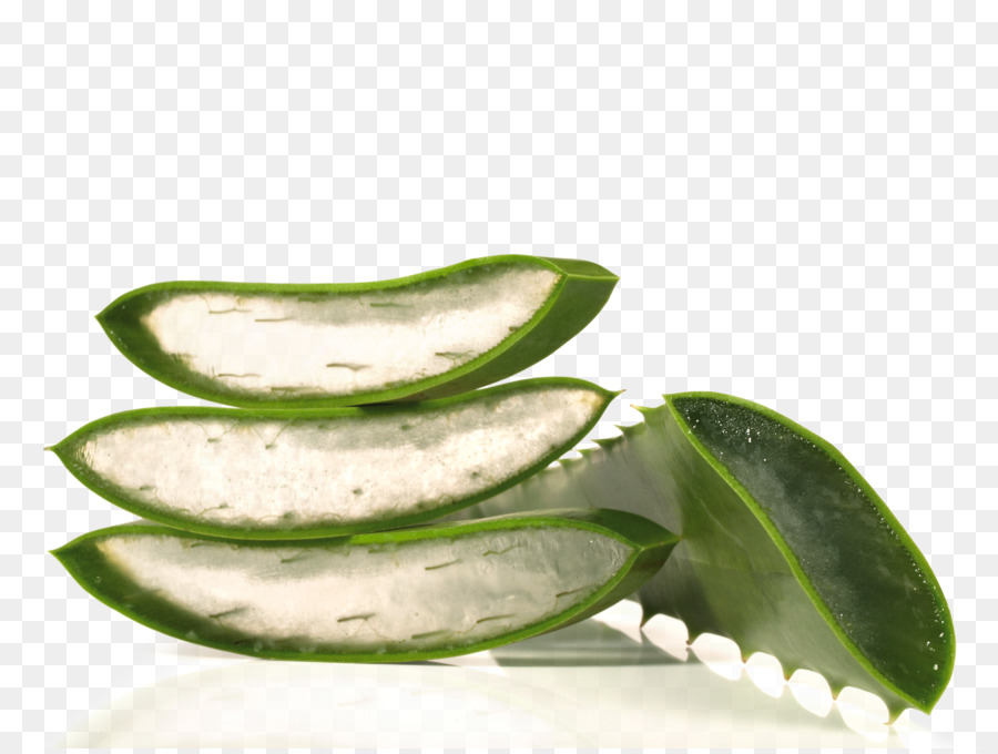 Aloe Vera，Suplemento Dietético PNG