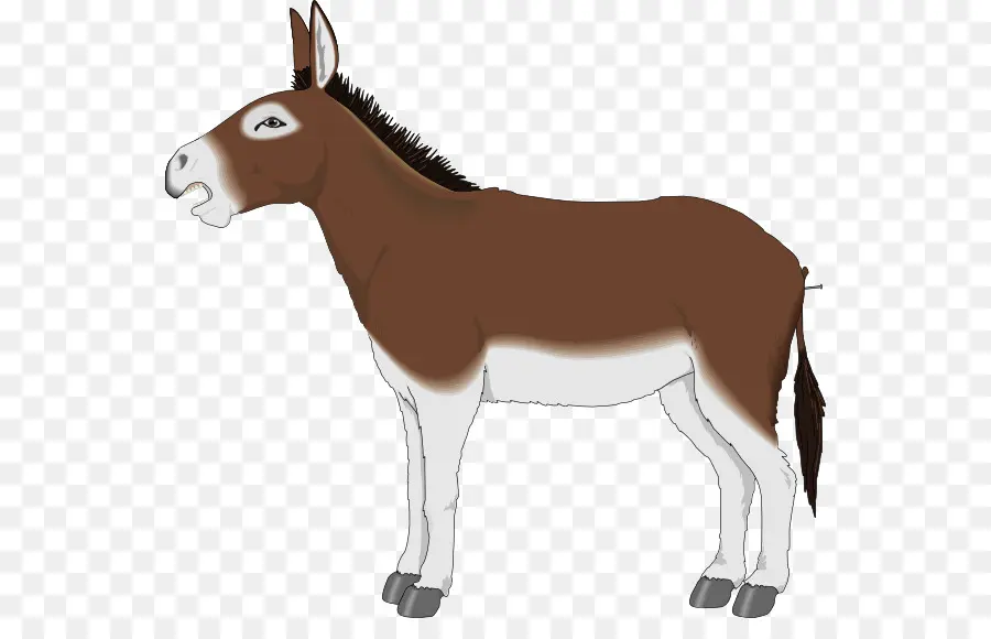 Mula，Burro PNG