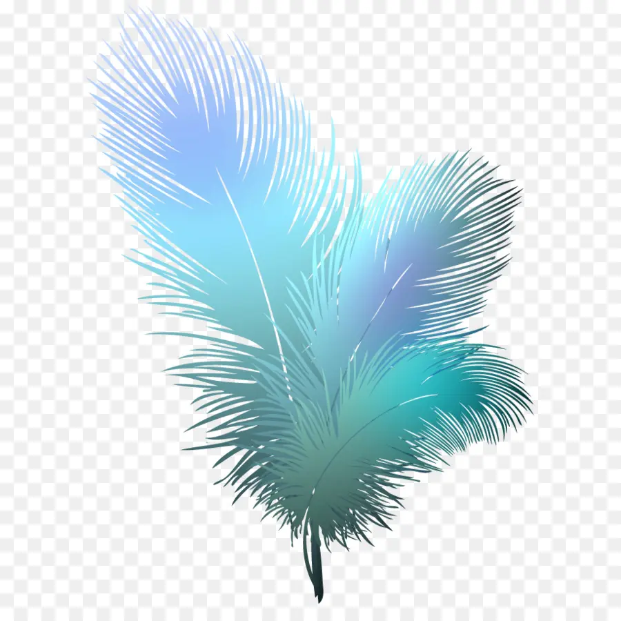 Pájaro，Pluma PNG