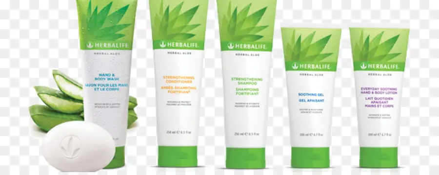 Herbalife，Aloe Vera PNG