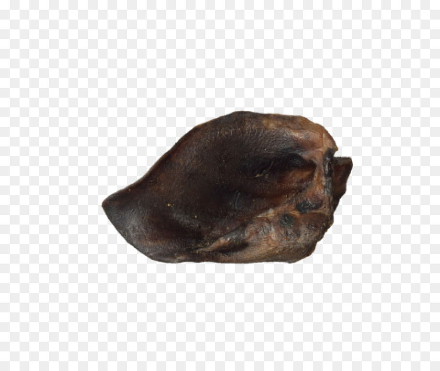 La Carne De Venado，Perro PNG