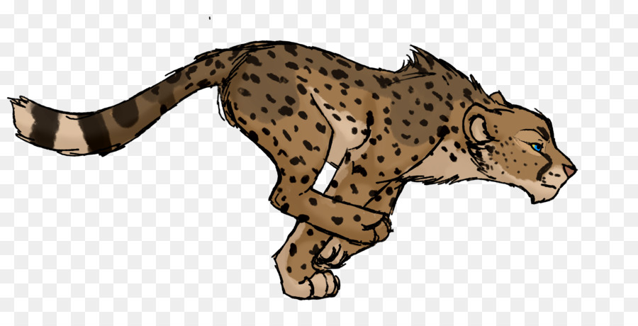 Gato，Leopardo PNG