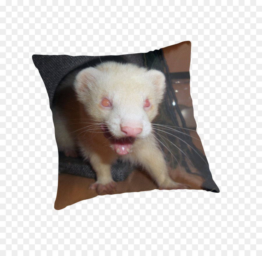 Hurón，Rata PNG