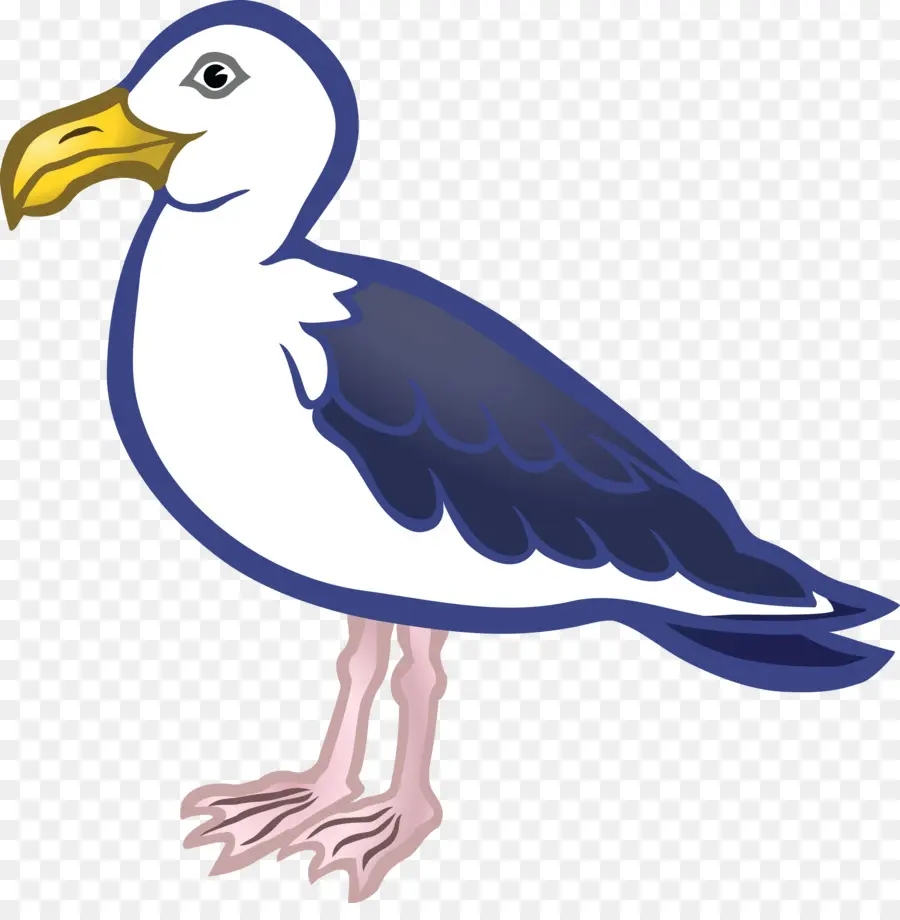 Gaviota，Pico PNG