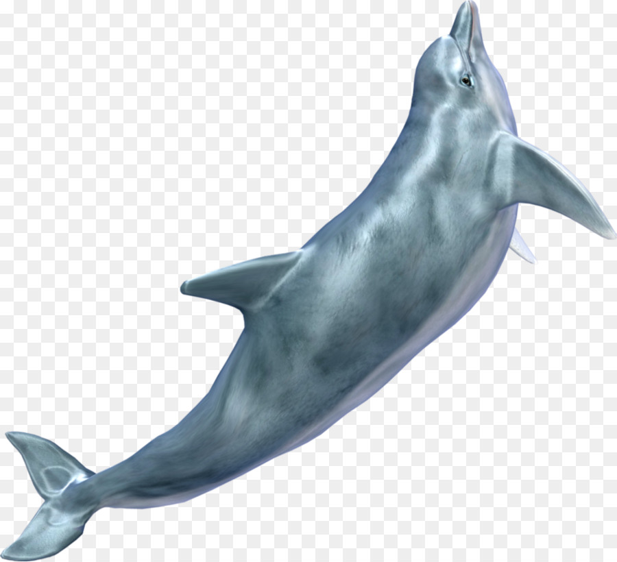 Dolphin，Resolución De La Pantalla PNG