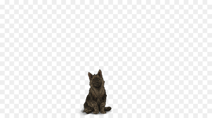 El Cairn Terrier，Scottish Terrier PNG