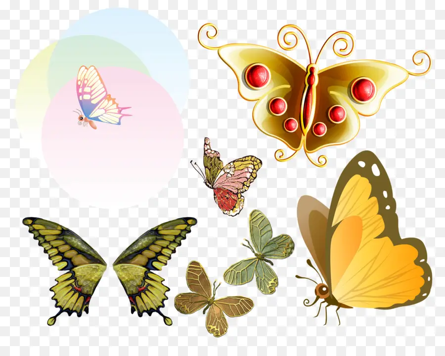 Mariposa，Formato De Archivo De Documento PNG