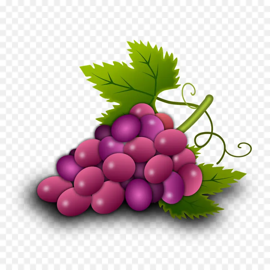 Uvas，Racimo PNG