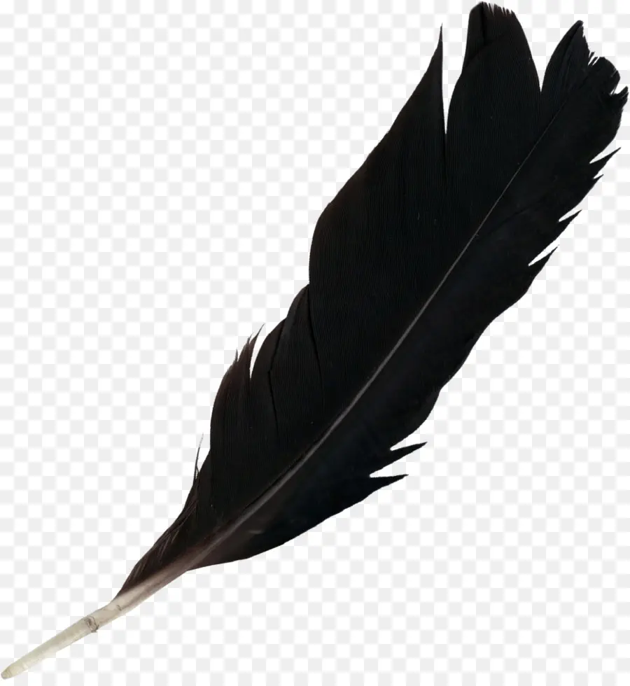 Pluma，La Luz PNG