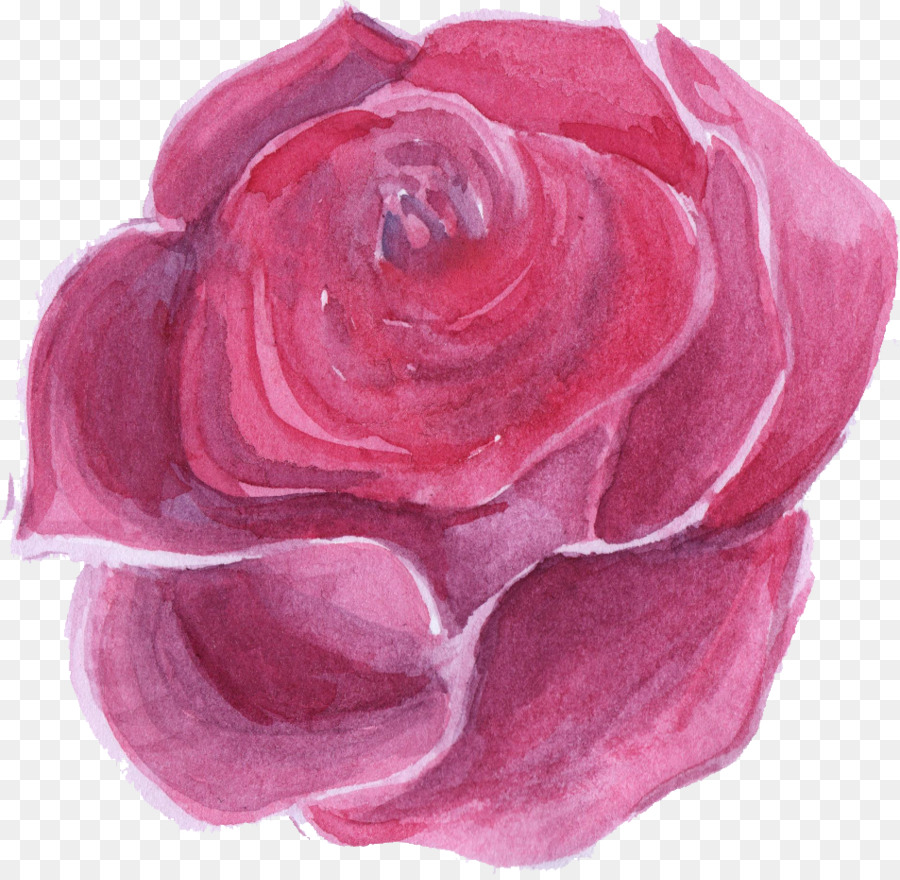 Rosa，Rojo PNG