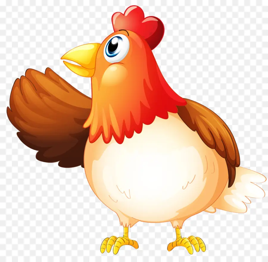 Pollo，Gallo PNG