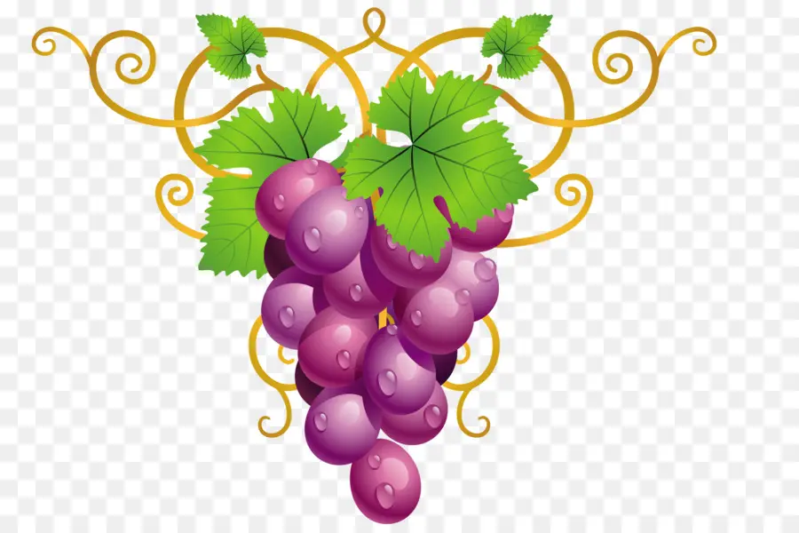 Uvas，Enredadera PNG