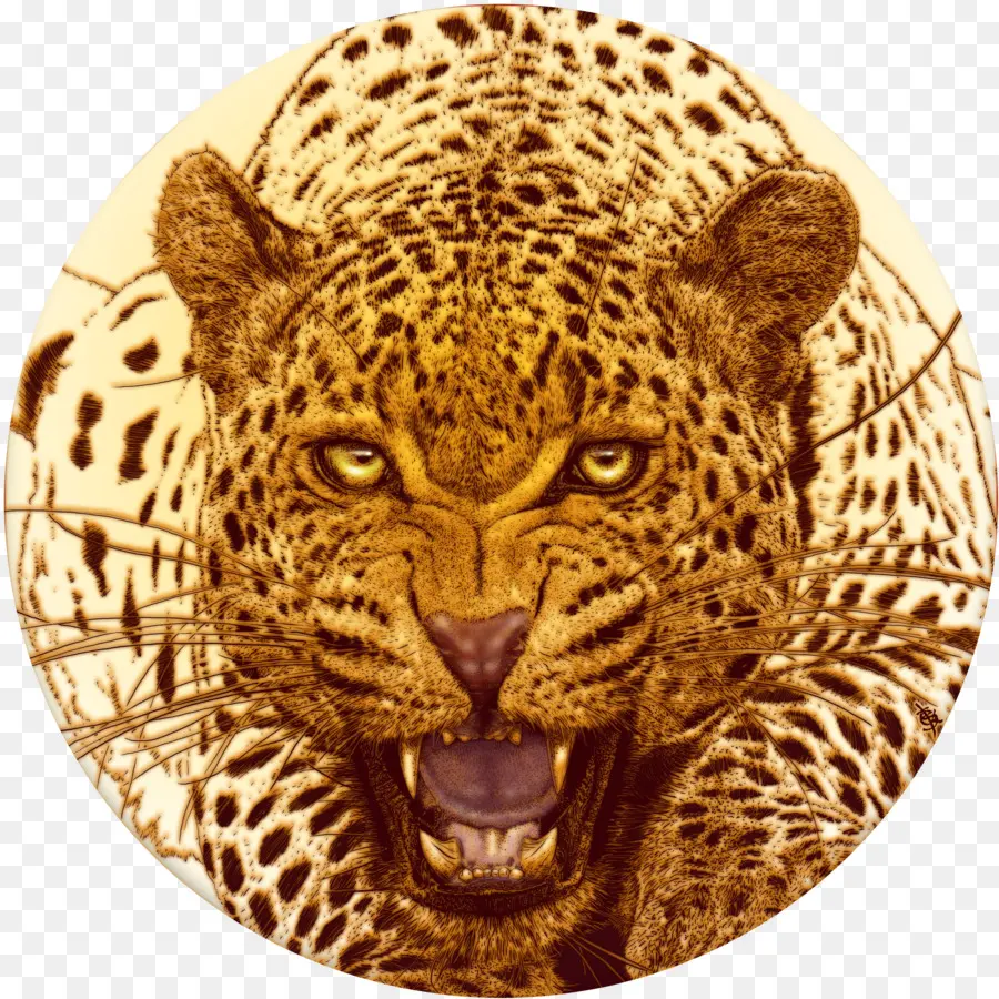 Leopardo，Guepardo PNG