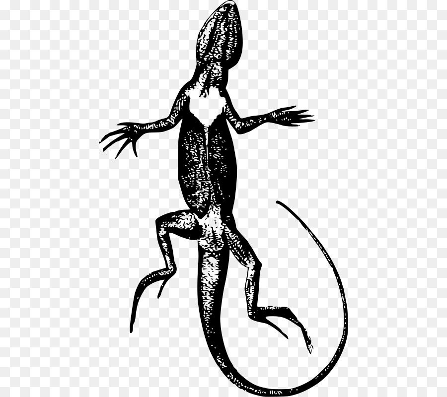 Lagarto，Urdu PNG