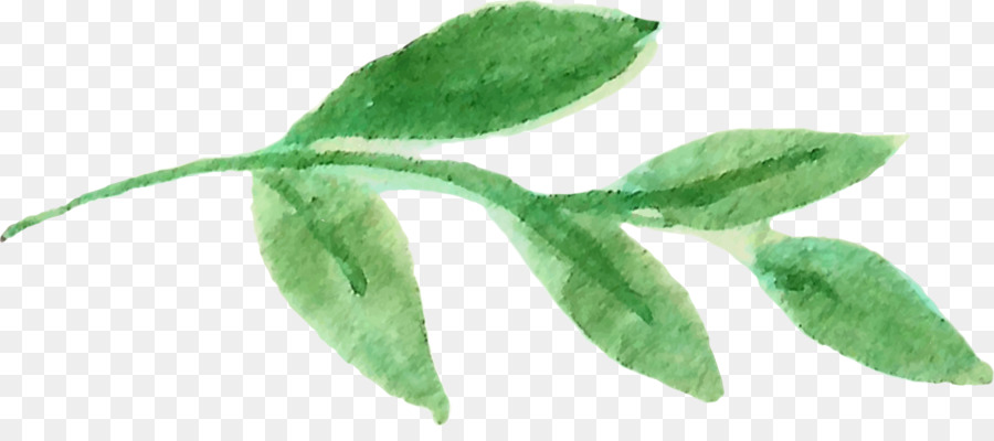 Hoja Azul，Naturaleza PNG