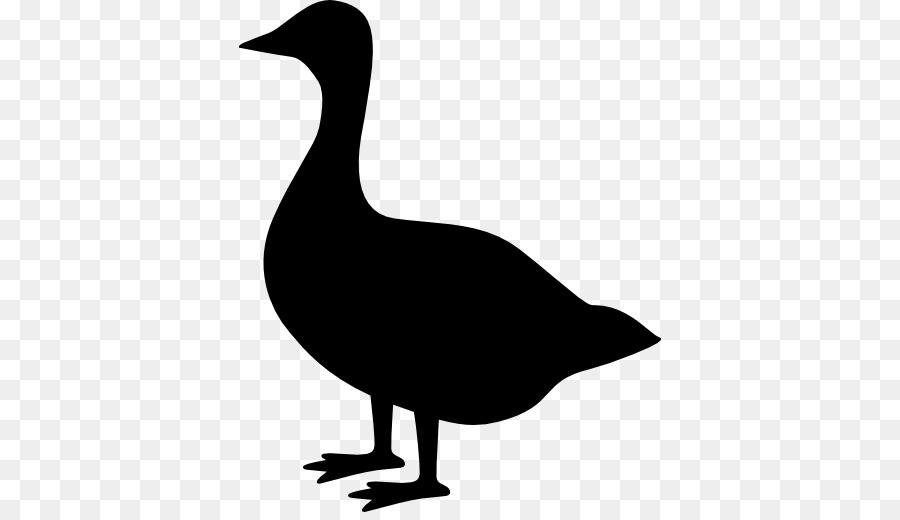 Pato，Silueta PNG