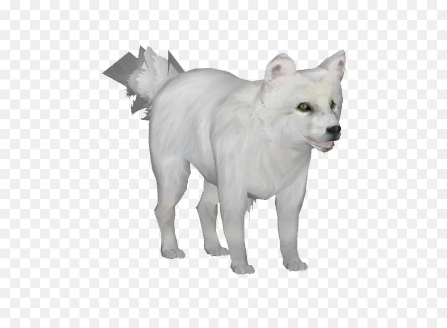 Lobo Blanco，Realista PNG