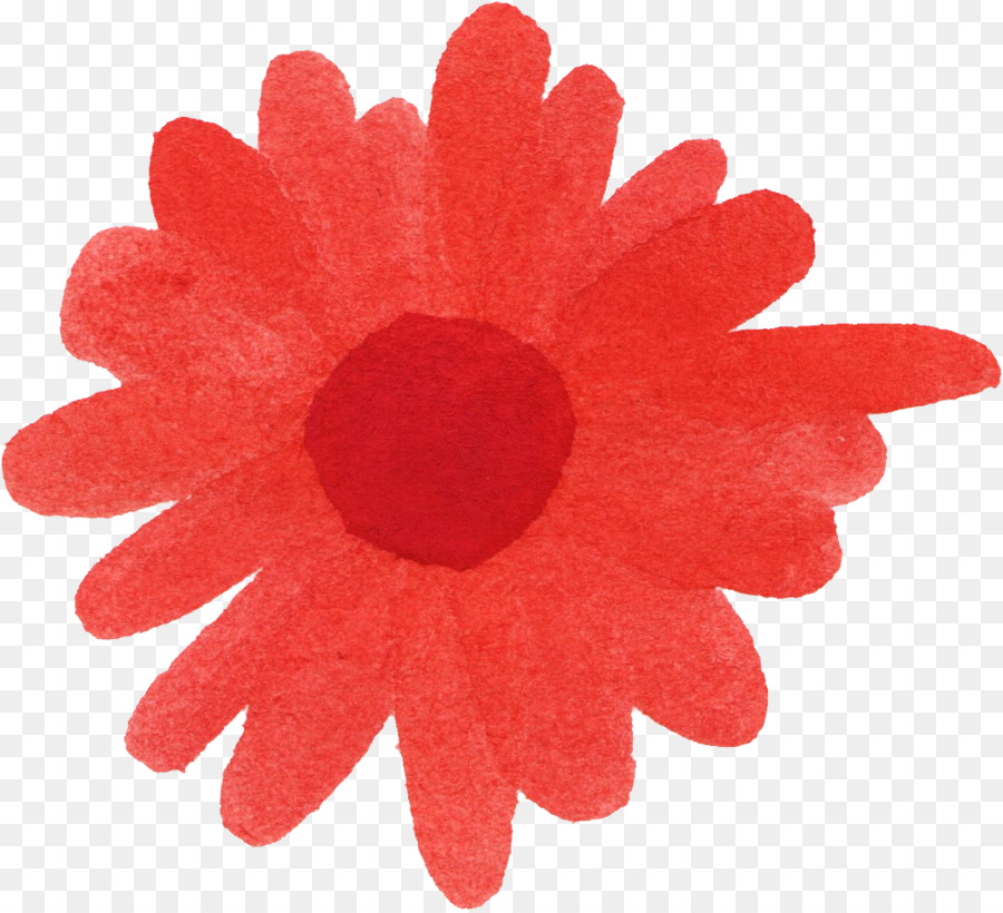 Flor，Transvaal Daisy PNG