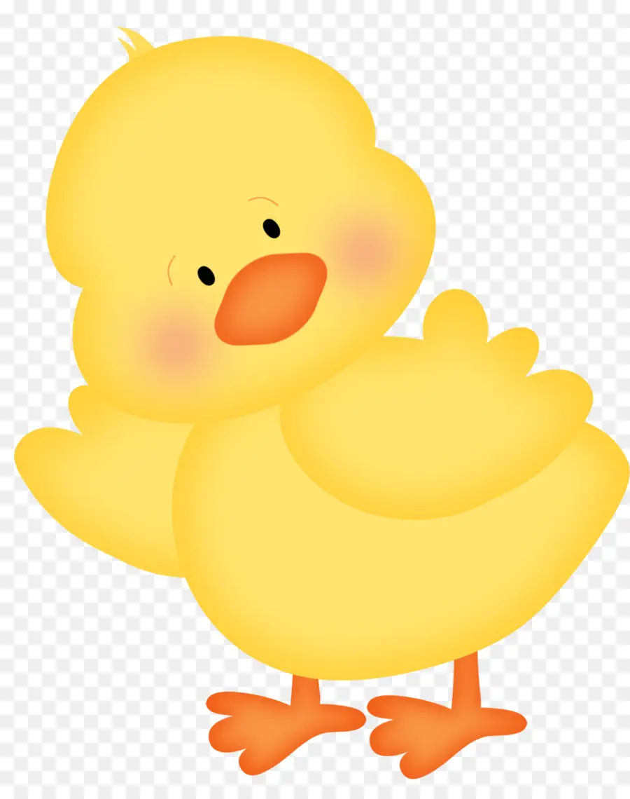 Pollo，Pascua PNG