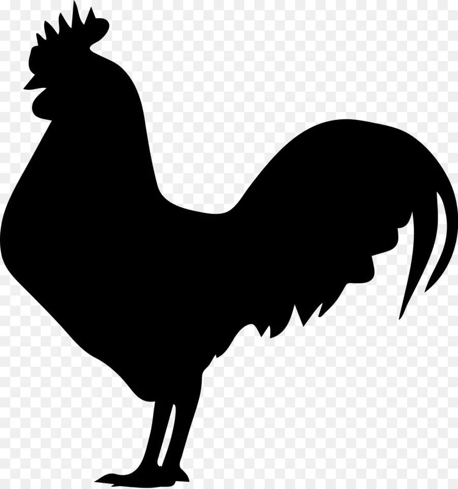 Silueta De Pollo，Aves De Corral PNG