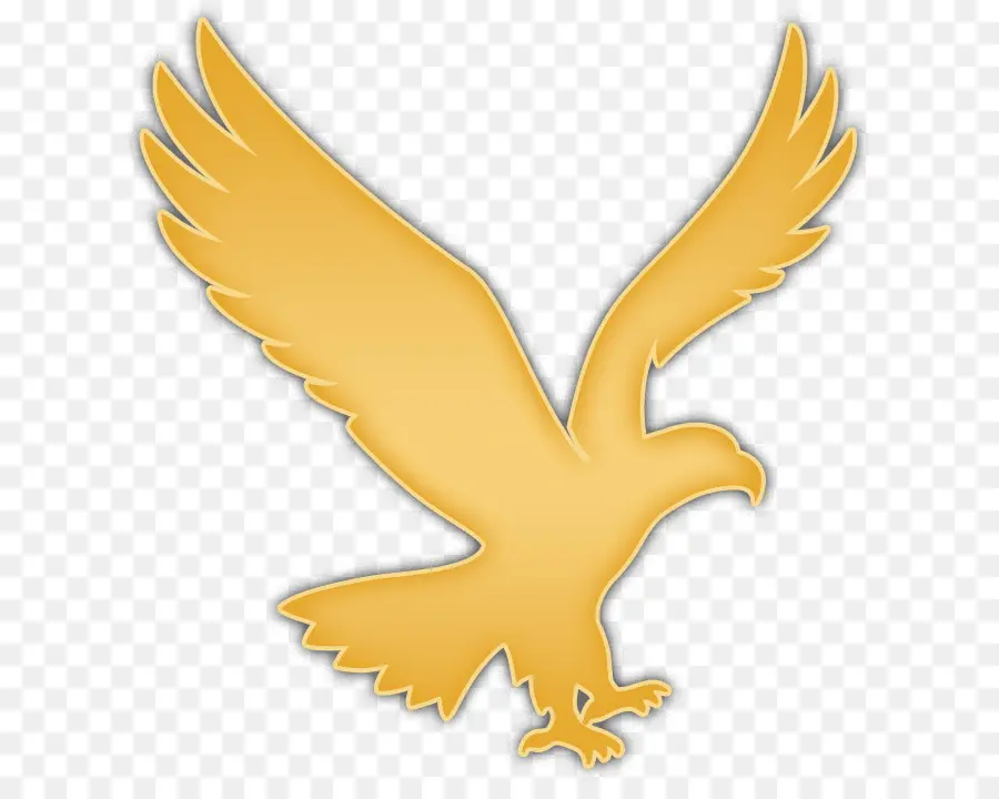 águila，águila Calva PNG
