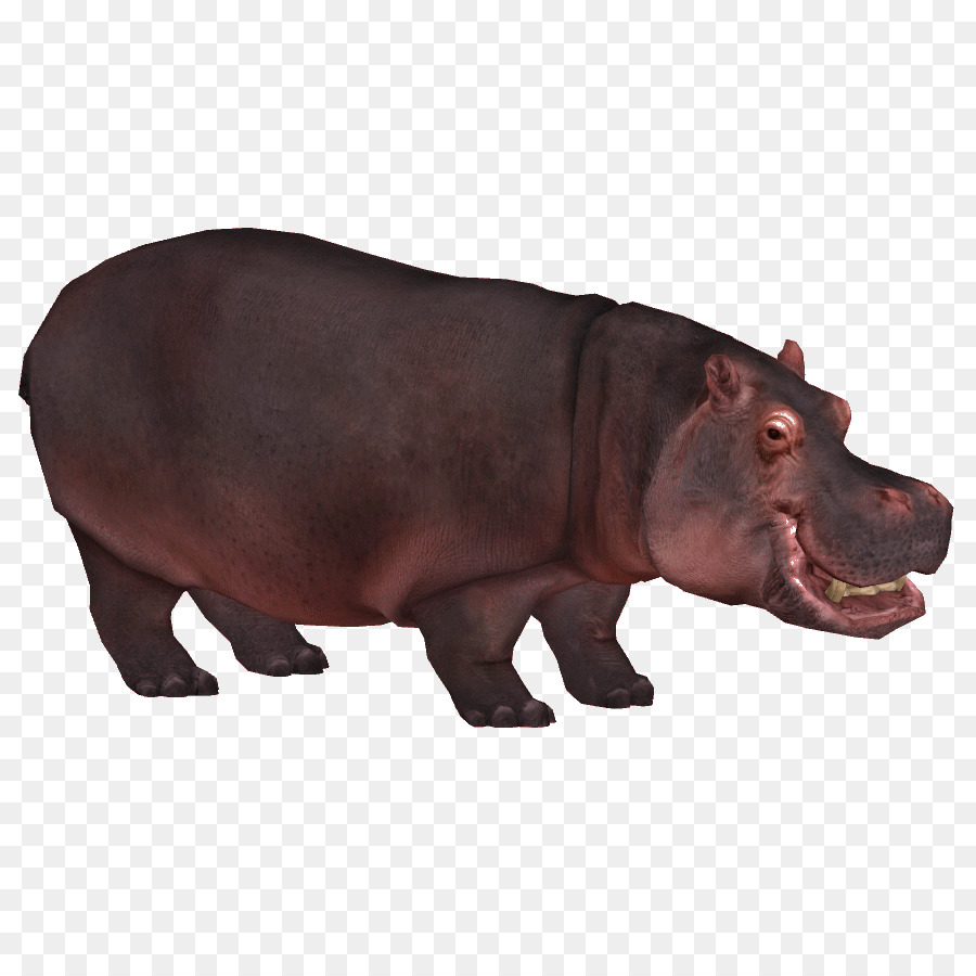 Tycoon De Zoológico 2，Hipopótamo PNG