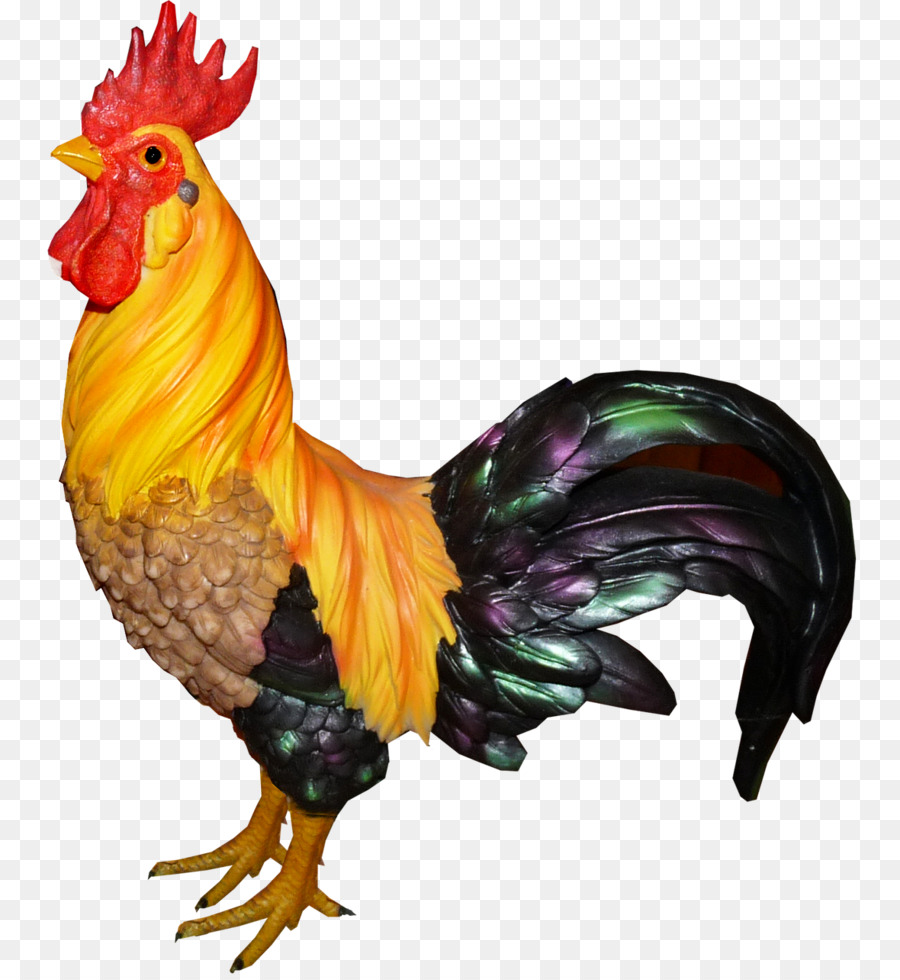 Pollo，Pájaro PNG