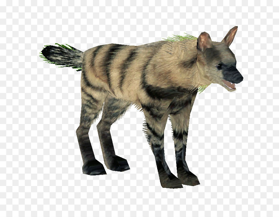 Hiena，Aardwolf PNG