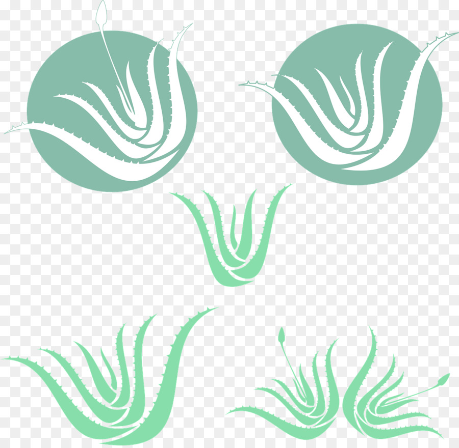 Aloe Vera，Planta PNG