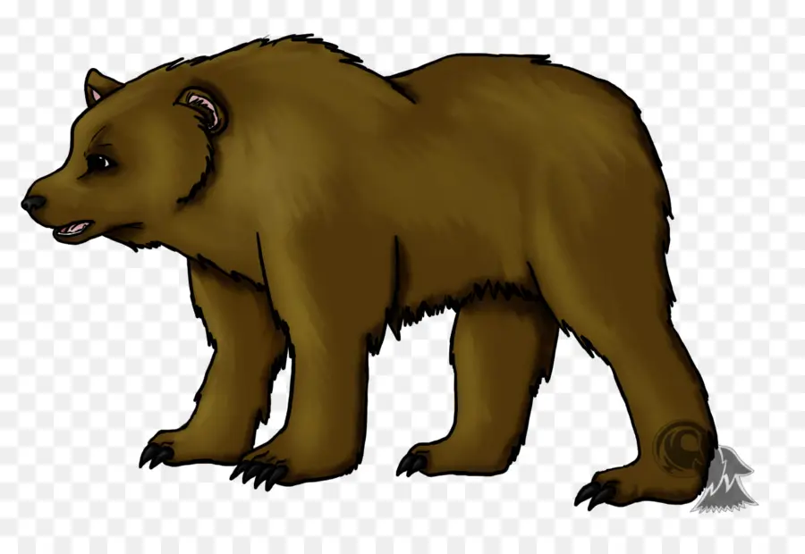 Oso，Oso Pardo Oso Pardo ¿qué Hacen Ver PNG