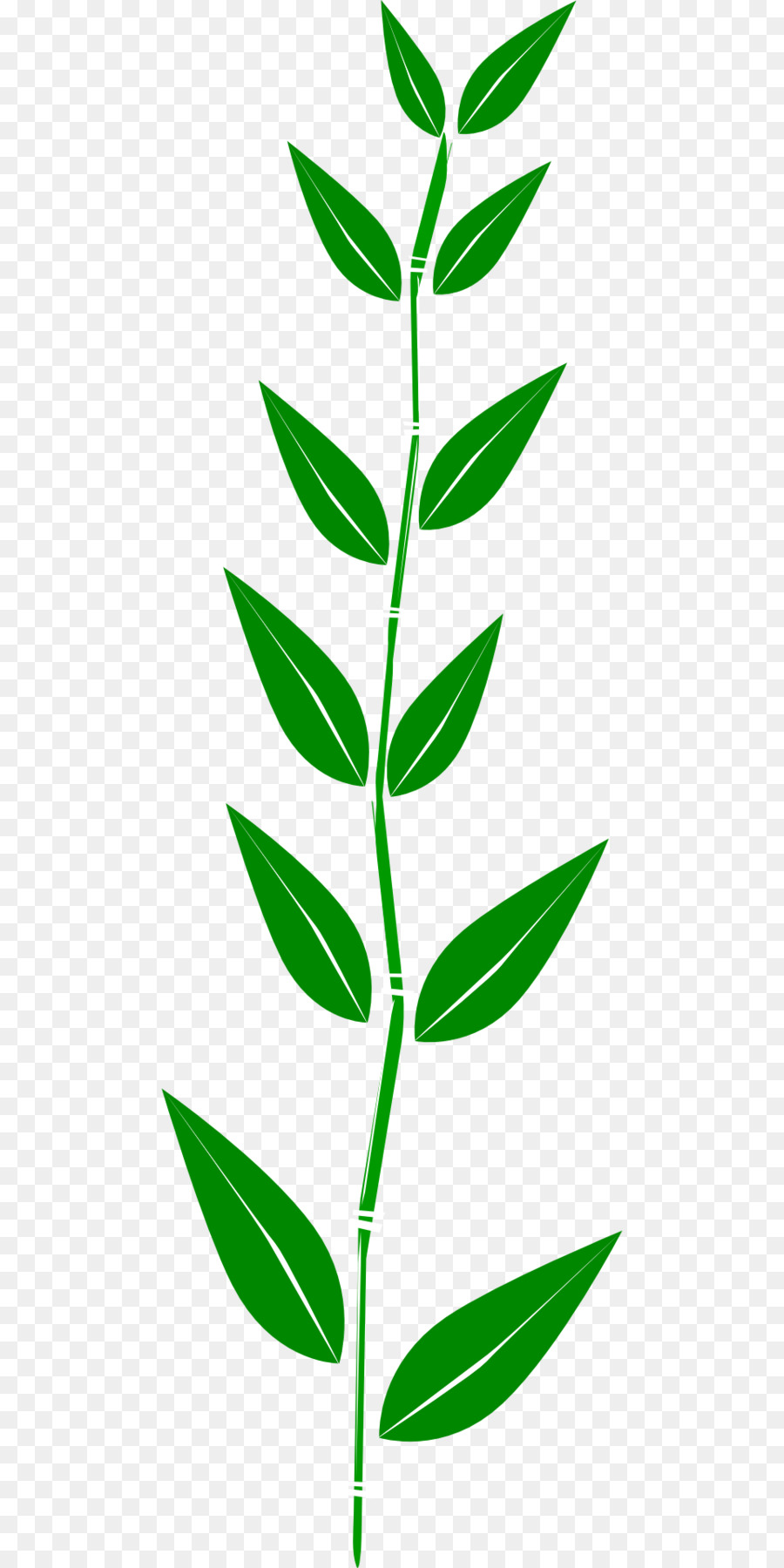 Planta Verde，Hojas PNG