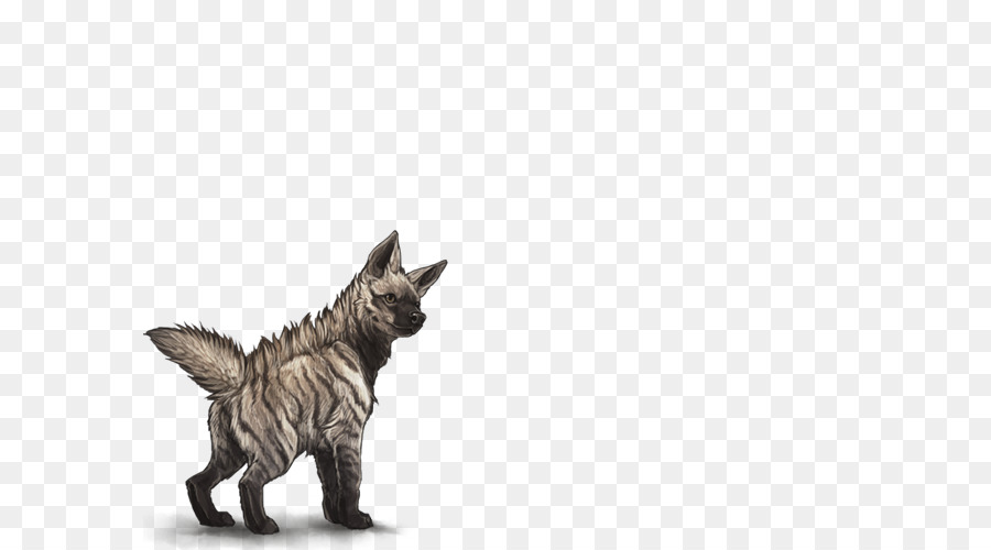 Maltés Perro，Gato PNG