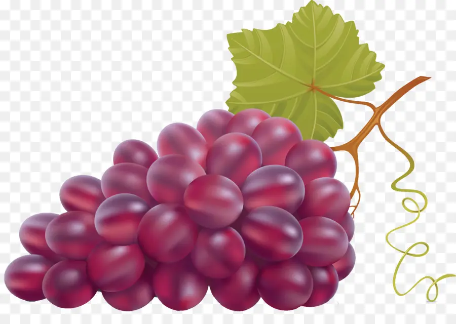 Uvas，Enredadera PNG