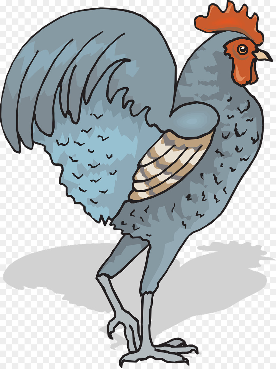 Pollo，Gallo PNG