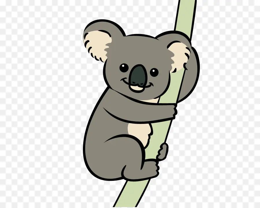 Koala，Oso PNG