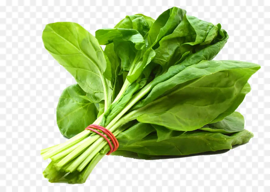 Bok Choi，Verde PNG