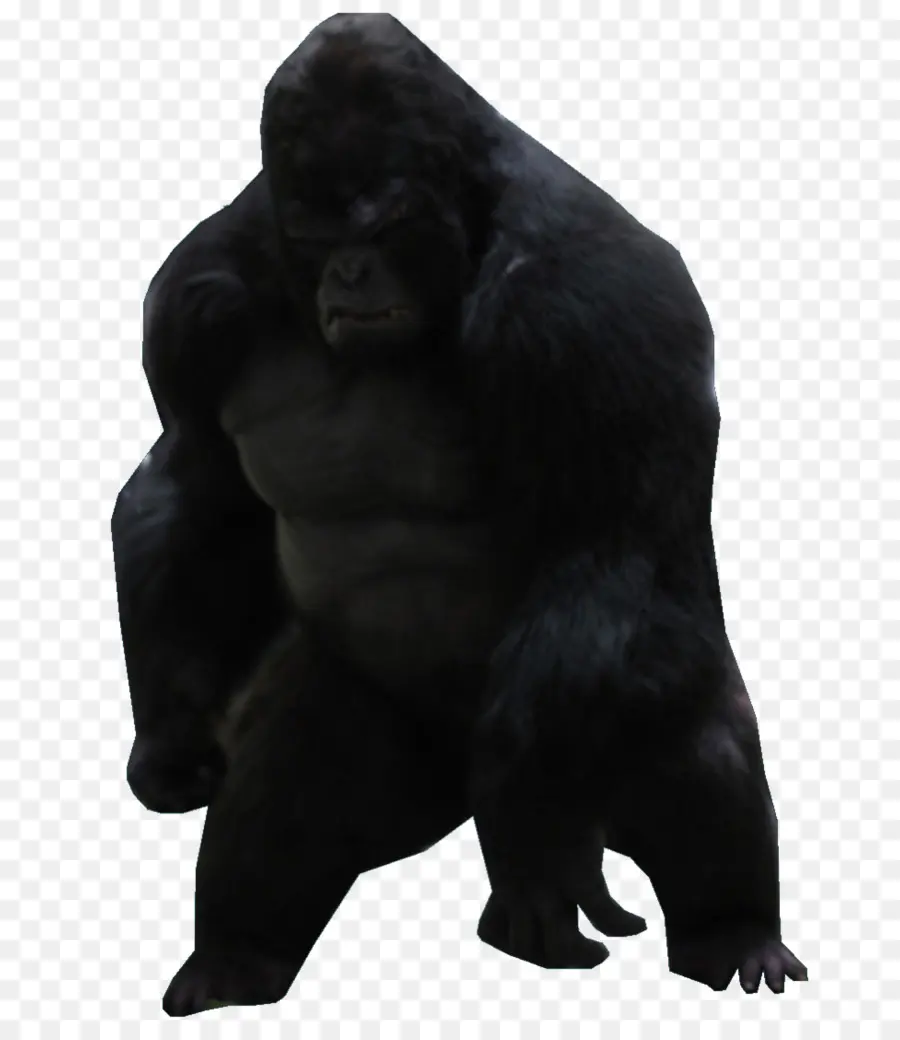 Gorilla Grodd，Destello PNG