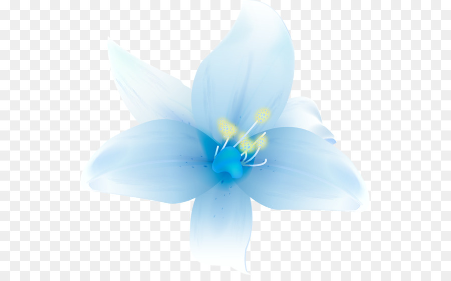 Flores，Florecer PNG