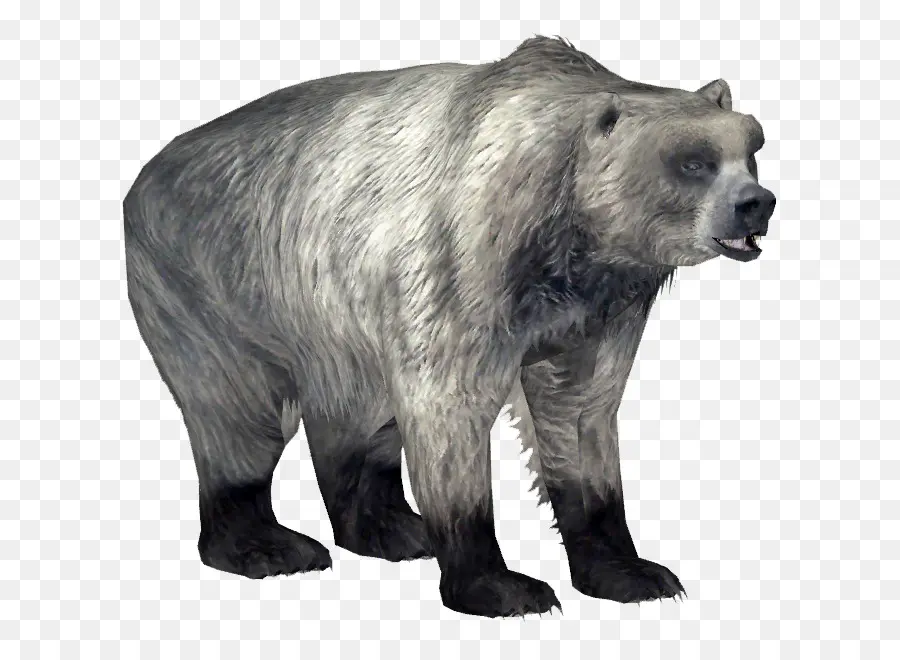 Zoo Tycoon 2，Oso Polar PNG