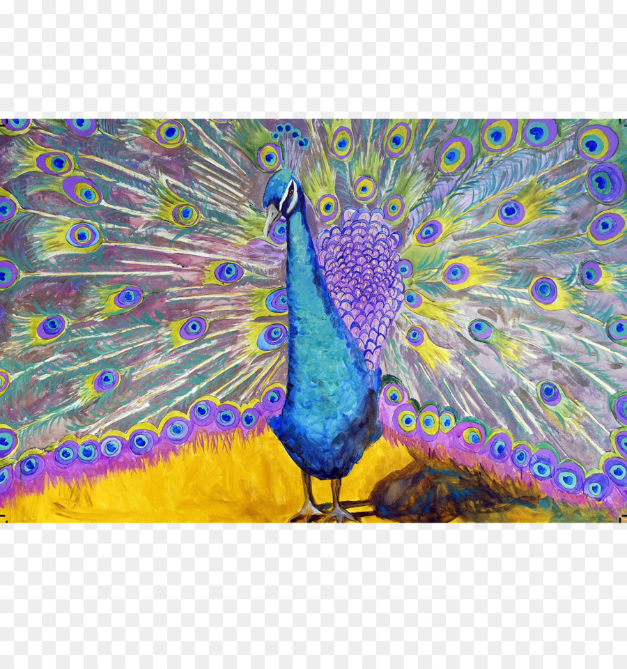 Pavo Real，Plumas PNG