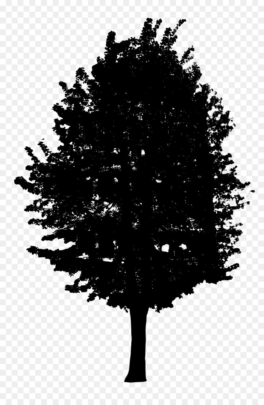 Árbol，Silueta PNG