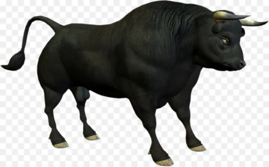 Toro，Ganado PNG