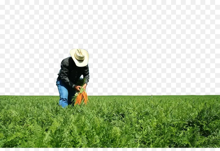 Granja，La Agricultura PNG