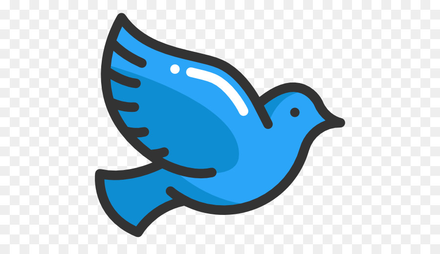 Iconos De Equipo，Columbidae PNG